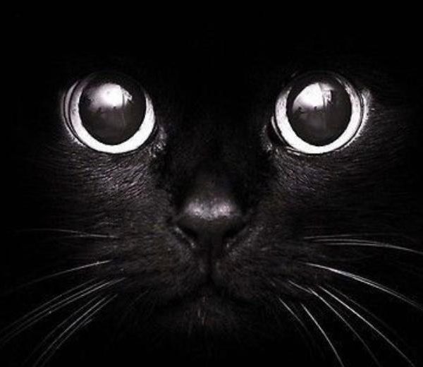 NailMaster | Gelpolish | SILVER Cat eye