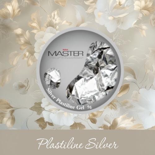 NM Plastiline Silver (5gr)